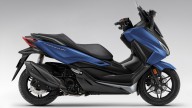 Moto - Scooter: Honda Forza 350 e ADV 350 2024: nuovi colori per i vendutissimi scooter