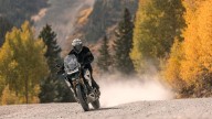 Moto - News: Triumph Tiger 1200 2024: l'ammiraglia si evolve