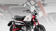 Moto - News: Honda Dax, Monkey e Super Cub C125 MY25: parola d'ordine, "simpatia"!