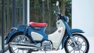 Moto - News: Honda Dax, Monkey e Super Cub C125 MY25: parola d'ordine, "simpatia"!