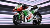 MotoGP: Ecco le livree LCR Honda di Zarco e Chantra