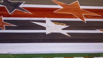 Auto - News: Formula 1, GP USA ad Austin: gli orari in tv su Sky, TV8 e NOW