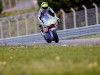 Moto2: Gresini fa festa: Salac in pole a Portimao, 3° Acosta, 4° Vietti