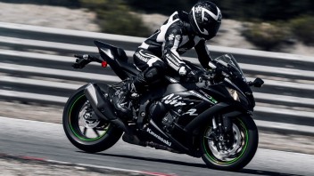 Moto - News: Kawasaki Ninja ZX-10RR '18: moto che vince non si cambia