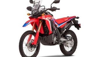 Moto - News: Honda: ecco le nuove CRF300L e CRF300 Rally, foto e caratteristiche