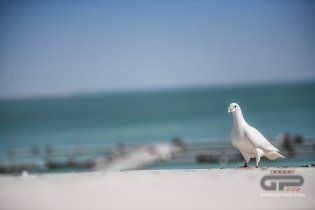 MotoGP: I piloti della MotoGP turisti per caso a Doha
