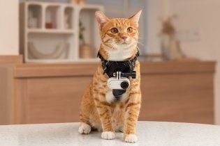 Playtime - Viaggi: Insta360 GO 3S, la videocamera pronta a catturare ogni momento in 4K