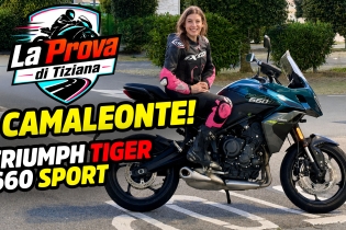 TIGER 660 SPORT