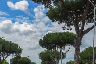 The Distinguished Gentleman’s Ride 2026: domenica 17 maggio a Roma