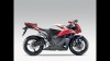 Moto - Gallery: Honda CBR 600 RR 2009 - C-ABS