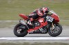 Moto - News: A Portimao si rivede Yoshimura Moto - News: A Portimao si rivede Yoshimura