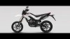 Moto - News: Benelli Motard 250 2012