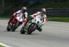 SBK: Edwards e Bayliss, 2002 sfida epocale