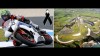 Moto - News: STK600 australiana: a Phillip Island Oscar McIntyre perde la vita