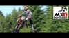 Moto - News: Mondiale Motocross 2012: Bastogne, Cairoli prende il largo! Moto - News: Mondiale Motocross 2012: Bastogne, Cairoli prende il largo!