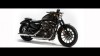 Moto - News: Harley-Davidson 2013: Sportster Iron 883 Special Edition