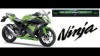 Moto - News: Kawasaki: le Ninja 2013 a Times Square