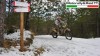 Moto - News: Motorally&Raid TT 2013: a scuola di "Snow-Rally"!