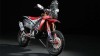 Moto - News: Honda: CRF450 Rally 2014
