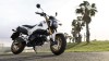 Moto - News: Honda MSX125: nuovi colori 2014 Moto - News: Honda MSX125: nuovi colori 2014