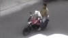 Moto - News: Il Cane che guida la moto – VIDEO