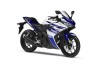 Moto - News: Yamaha R25: ecco la piccola di Iwata