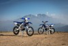 Moto - News: Yamaha EnduroGP WR250F e WR450F 2018: prestazioni e stile elevati