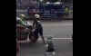 MotoGP: Aleix-Iannone incident: a video exonerates the mechanic