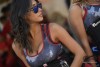 MotoGP: Assen, Umbrella Girls