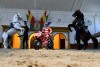 MotoGP: Dovizioso a Jerez incontra i due aspetti della sua anima...equina