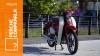 Moto - Test: Honda SuperCub C125 | Perché comprarla... E perché no