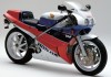 Moto - News: Honda RC30: adesso si possono restituire le ali alla Fenice