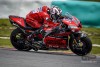 MotoGP: Petrucci: "The new Michelins enhance the Ducati's weak point"