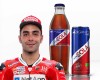 MotoGP: Petrucci sorride alla KTM: per lui l'immagine 'nature' di Red Bull