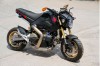 Moto - News: Follie: una Honda MSX 125 con motore Ducati Panigale 1199R da 195 cv!