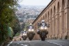 Moto - News: Ducati: 25 Multistrada 950 per la Polizia Locale di Bologna