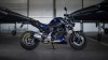 Moto - News: BMW F 900 R Force: la special per patente A2 in serie limitata