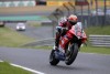 SBK: BSB Brands Hatch: Christian Iddon and Ducati win chaotic Race 3