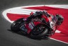 SBK: Redding: “These are the results you need to fight for the title”