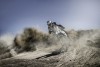 Moto - News: Ducati DesertX, il debutto al Dubai Expo 2020