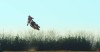 Moto - News: Ducati DesertX: Antoine Meo la "maltratta" in una pista cross - VIDEO