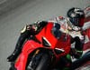 SBK: Ducati ready to invade Portimão: will Magic Marquez be there too?